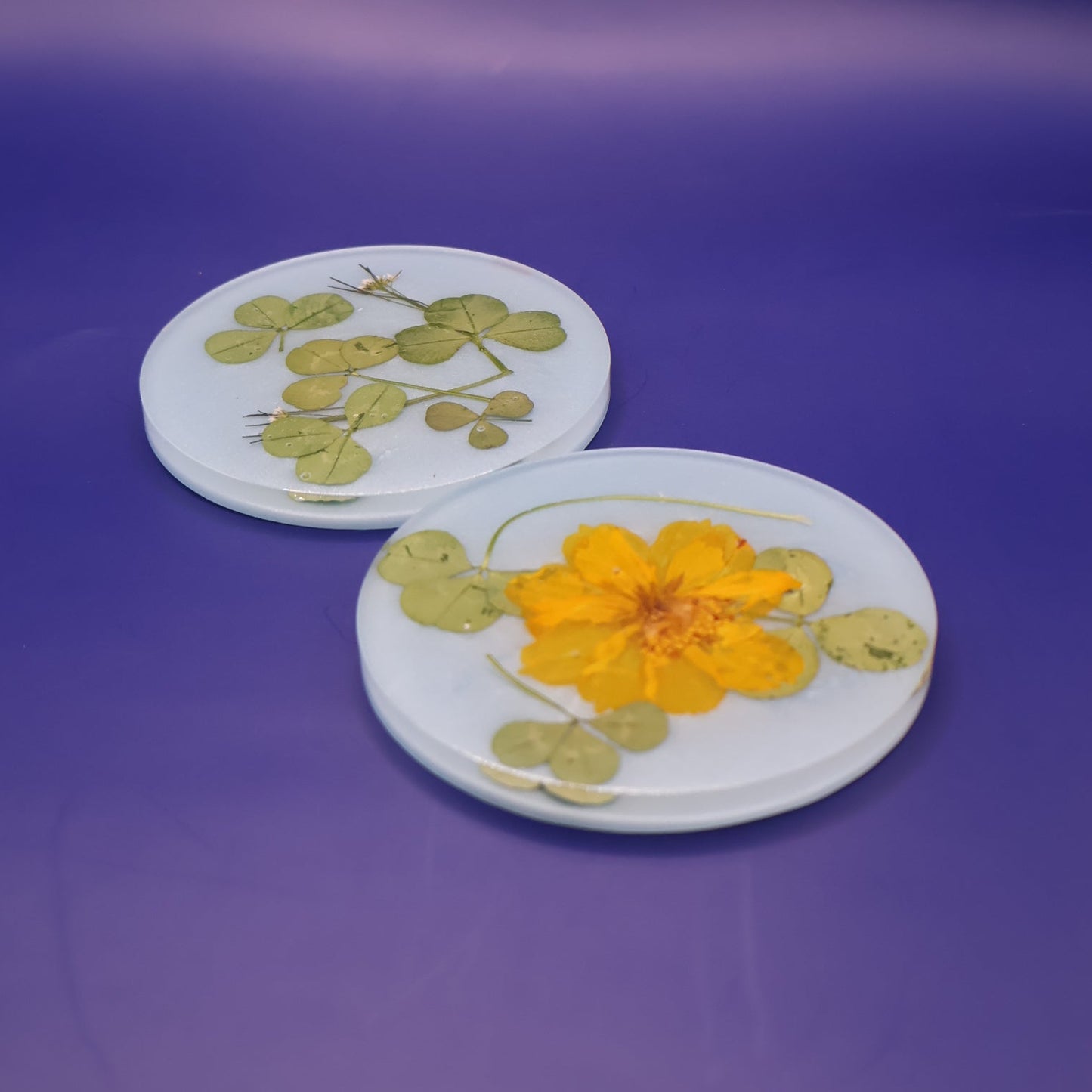Coasters