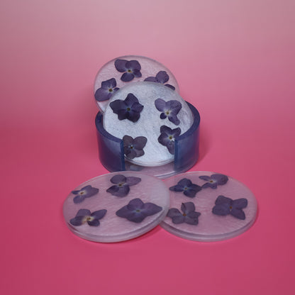 Coaster