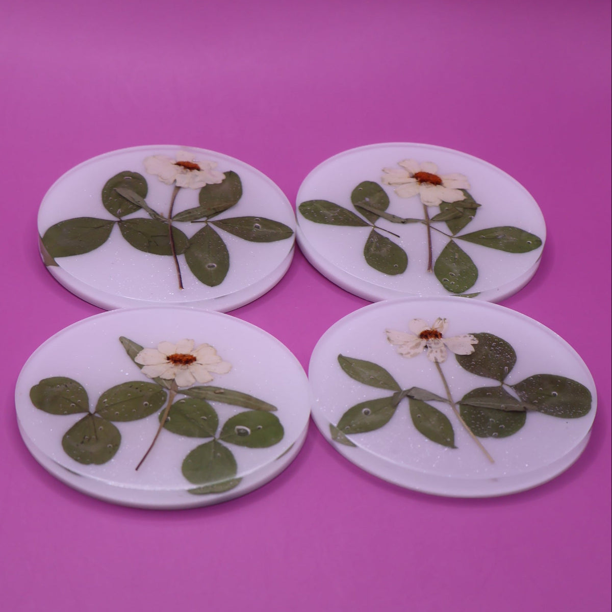 Coasters