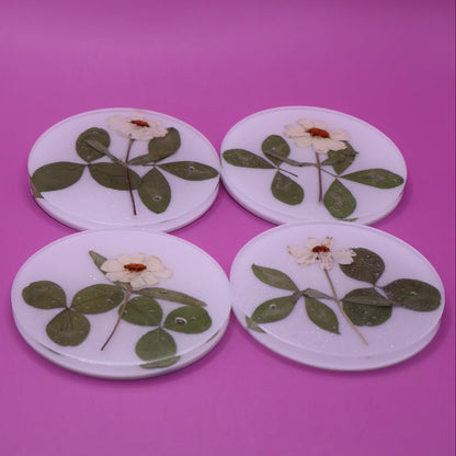 Coasters