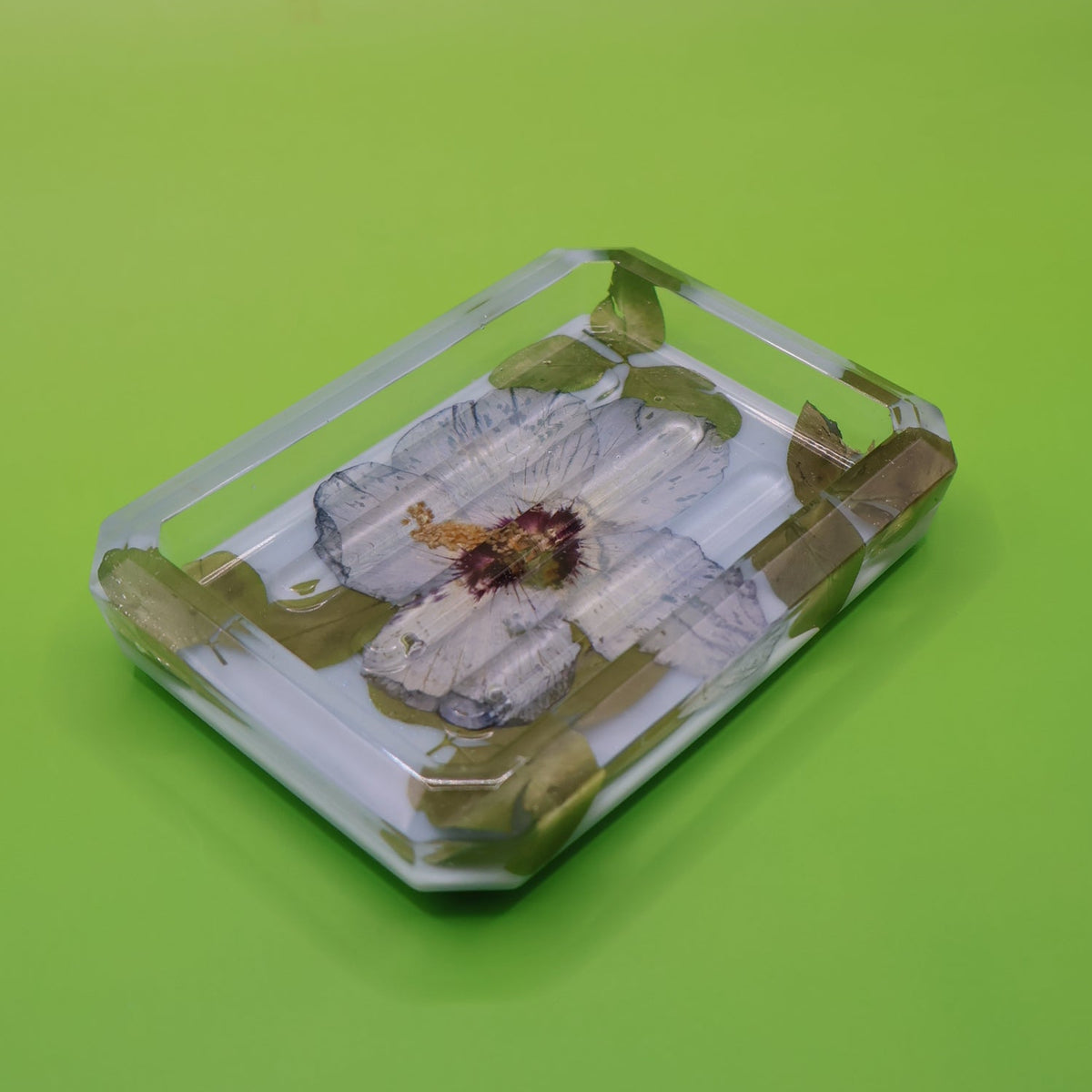 Botanical Soap Dish