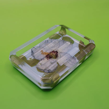 Botanical Soap Dish