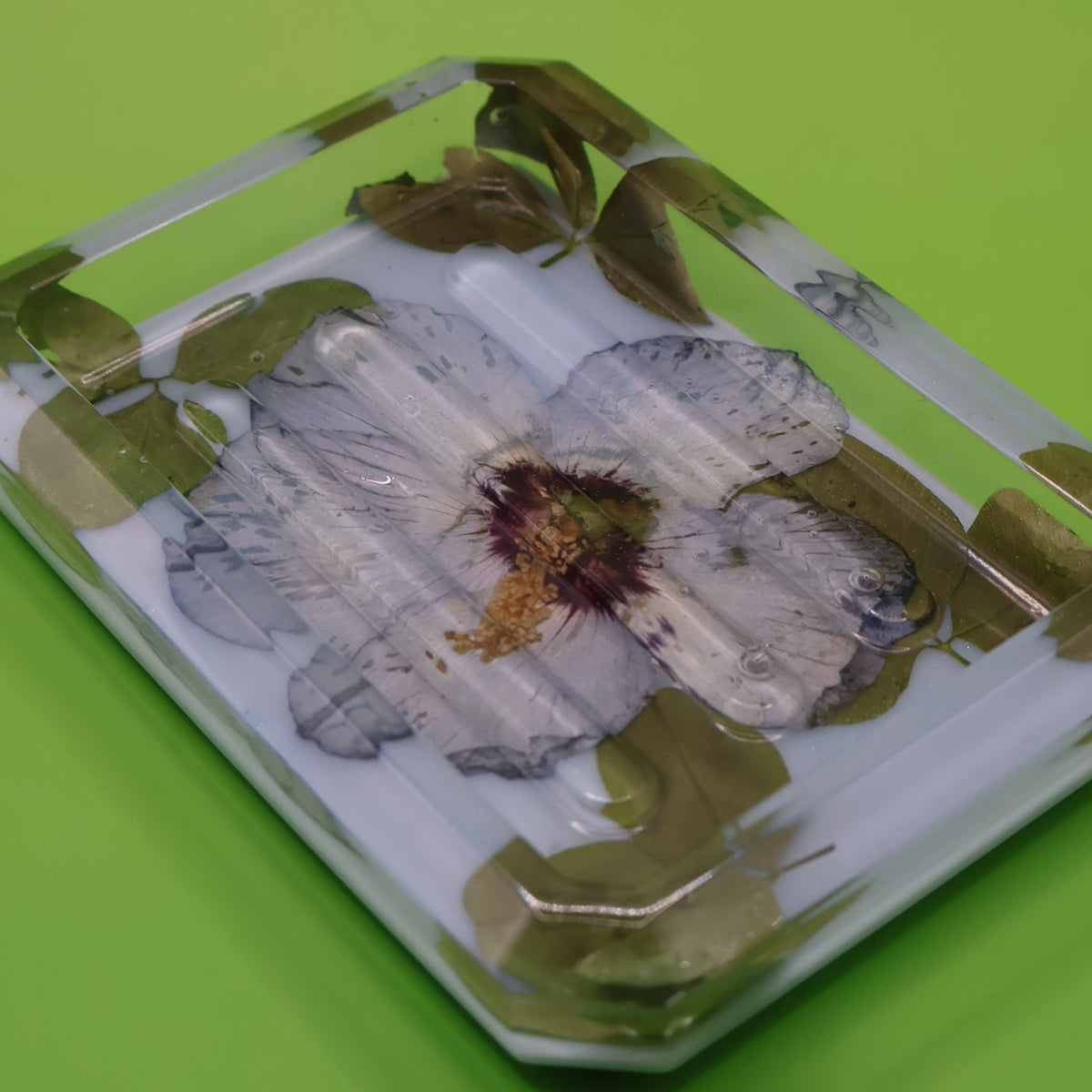 Botanical Soap Dish
