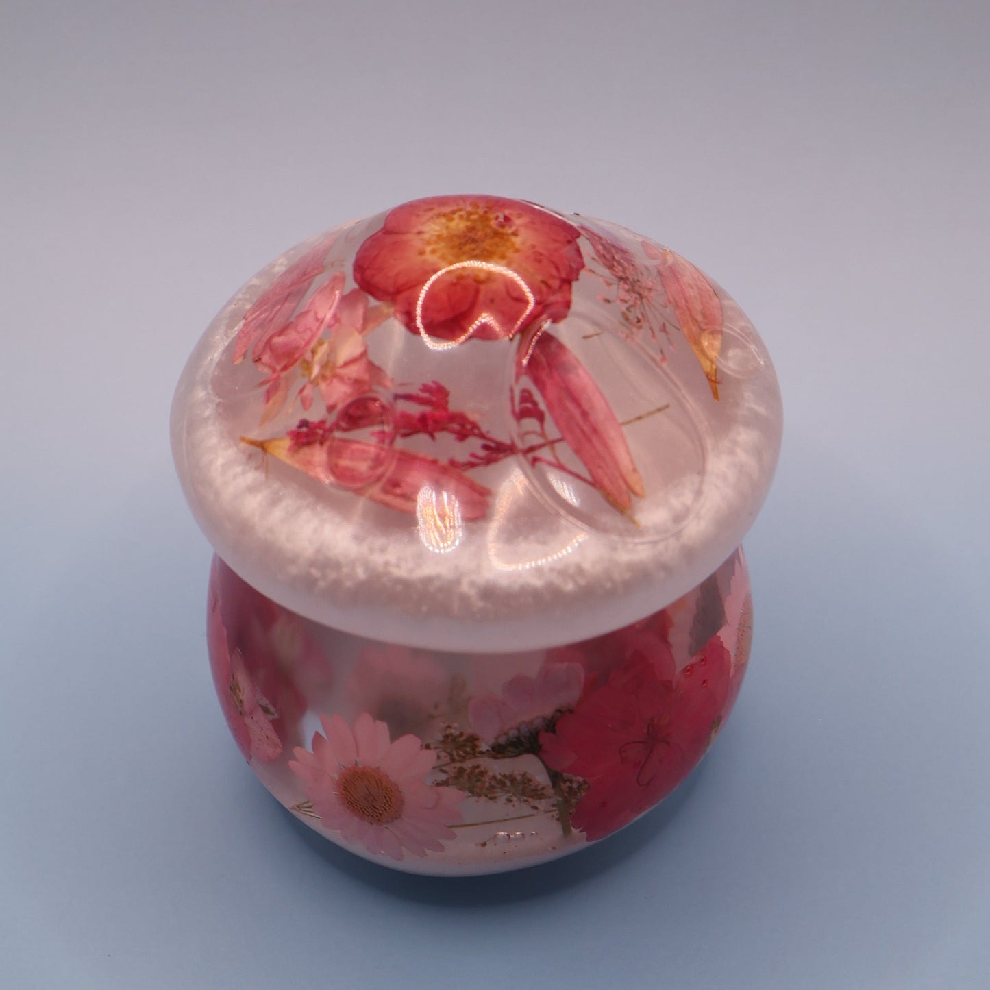 Mushroom Multipurpose