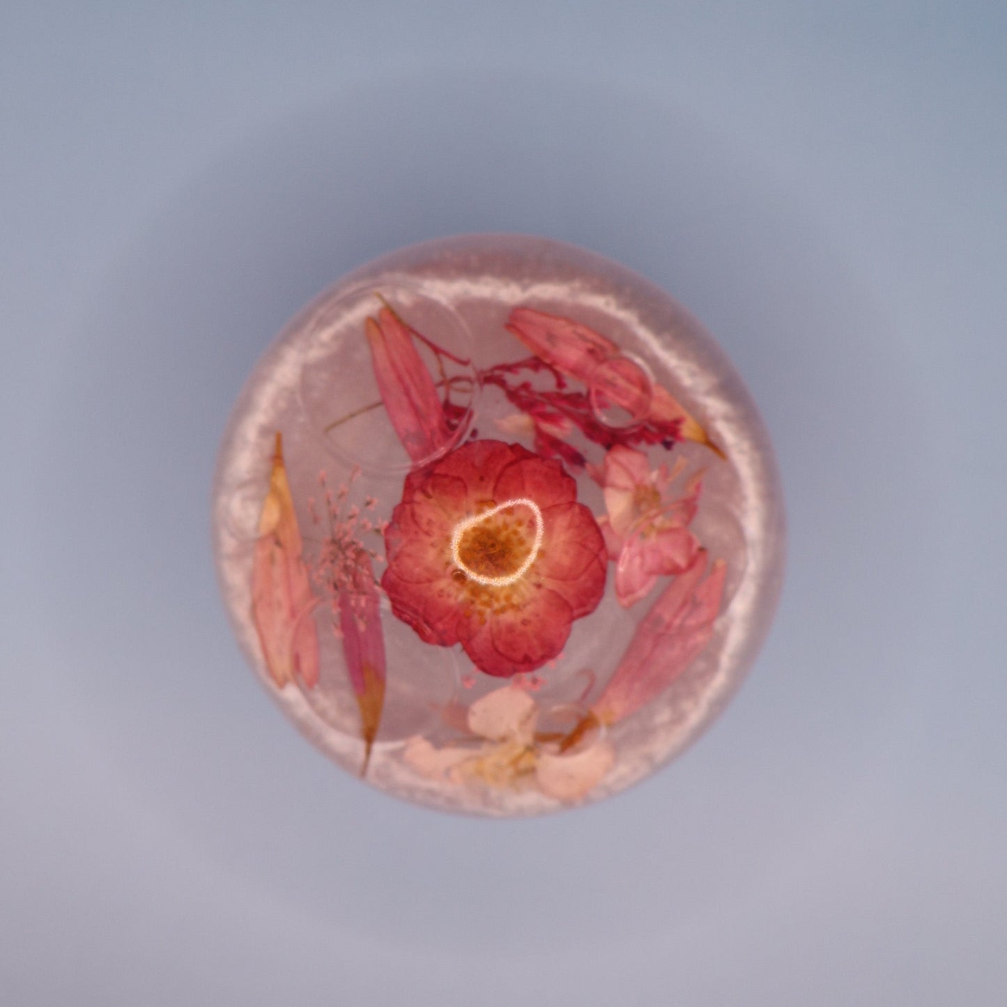 Mushroom Multipurpose