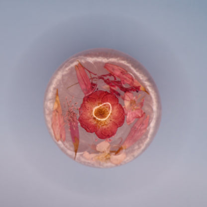 Mushroom Multipurpose