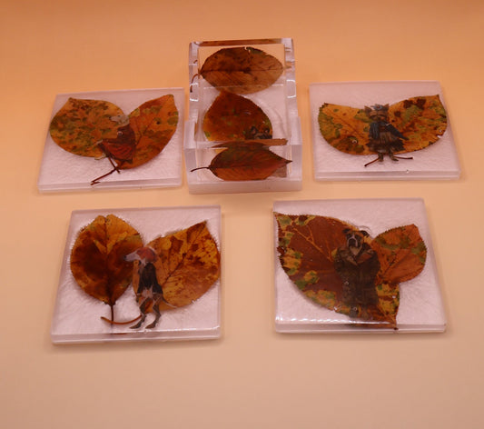 coasters