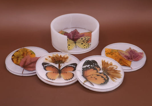 Coaster